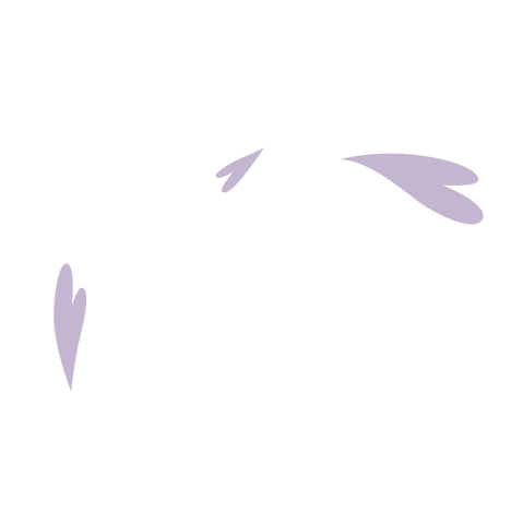 deco