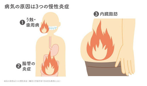 病気の原因は3つの慢性炎症