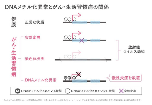 DNAメチル化異常とがん・生活習慣病の関係